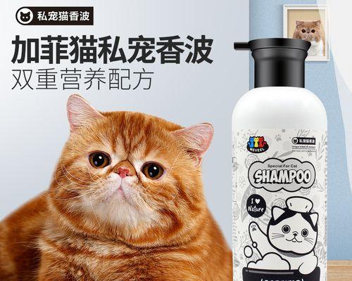 小猫的第一次洗澡（如何正确给宠物洗澡）