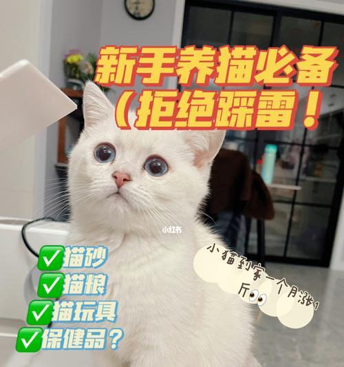 一只猫咪一个月要用多少千克猫砂（宠物猫使用猫砂的需求量及注意事项）