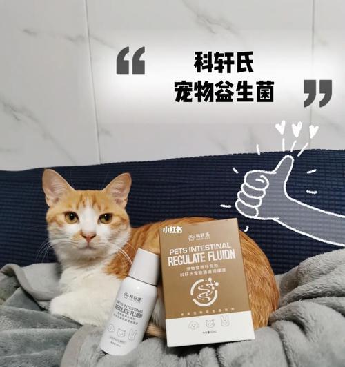 如何帮助产后食欲不振的猫咪（探究益生菌对猫咪产后食欲不振的影响及使用方法）