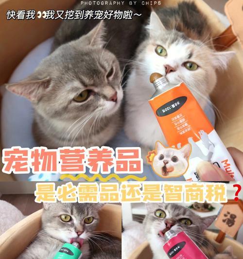 益生菌对猫咪是否有益（猫咪是否能够摄入益生菌以及该如何使用）