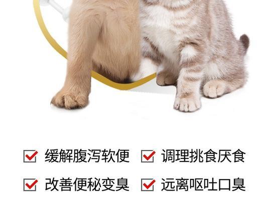 让宠物更健康，益生菌喂养不容错过（以猫咪为例）