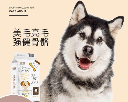 狗狗6个月可以吃成犬狗粮吗（逐步转换+关注营养均衡）