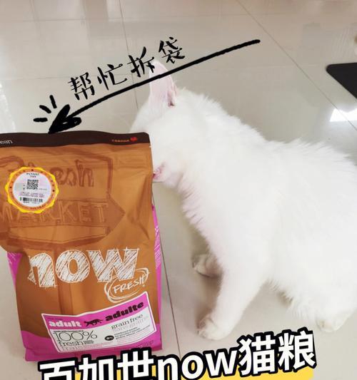 现在是什么猫粮最好（全面解析市面上流行的猫粮品牌及其成分）