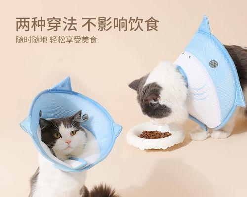 被猫咬后手疼怎么办（以宠物为主）