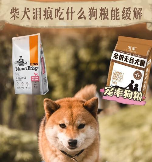 如何选择适合你的柴犬的狗粮牌子（一份综合评估报告）