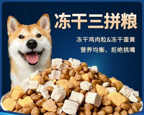 如何选择适合你的柴犬的狗粮牌子（一份综合评估报告）