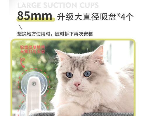 猫咪的睡猫爬架（宠物喜爱的天堂）