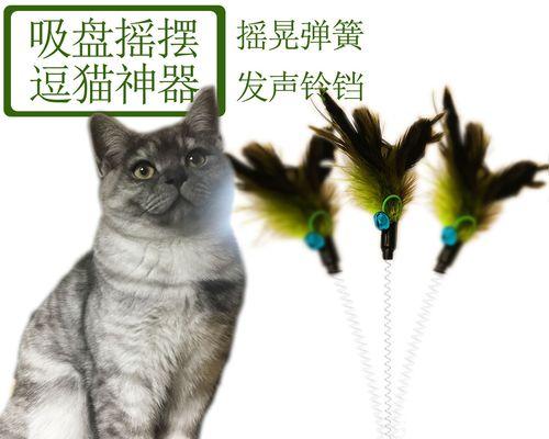 揭秘猫咪睡觉的奥秘（从生物钟到压力缓解）