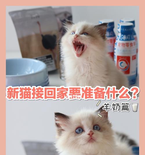 猫咪晚上喝羊奶，对宠物的好处（羊奶富含营养）