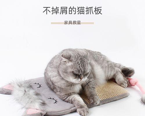 矫正猫咪行为的方法（以宠物为主）