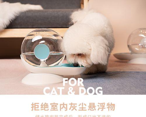 猫咪为何会流血（探究猫咪流血的原因及预防方法）