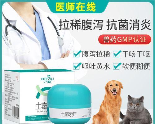 猫咪胃肠炎用药指南（以宠物为主）