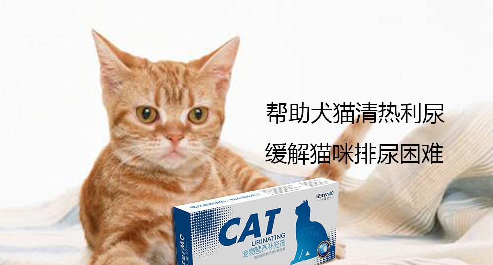 了解猫咪的血糖正常值（健康的宠物生活从掌握正常血糖开始）