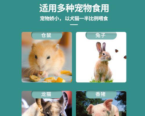 猫咪喝羊奶的正确方式（宠物喝羊奶须注意什么）