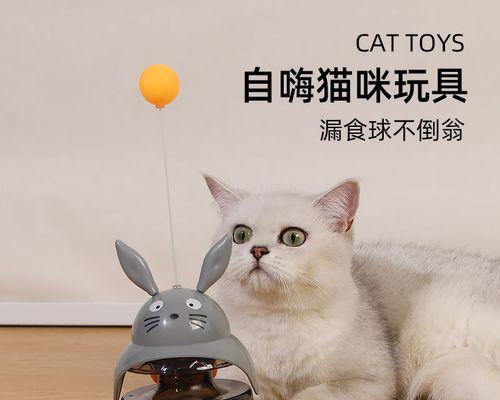 猫咪知识小问答大揭秘（了解宠物猫咪）