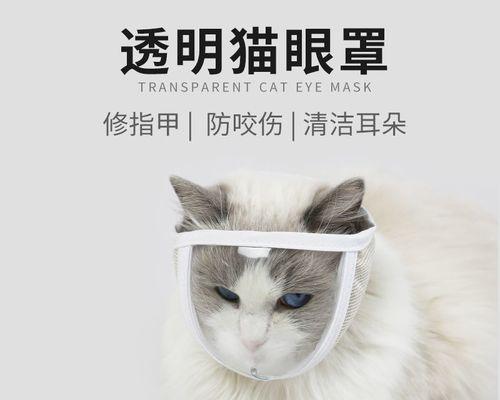 猫咪知识小问答大揭秘（了解宠物猫咪）