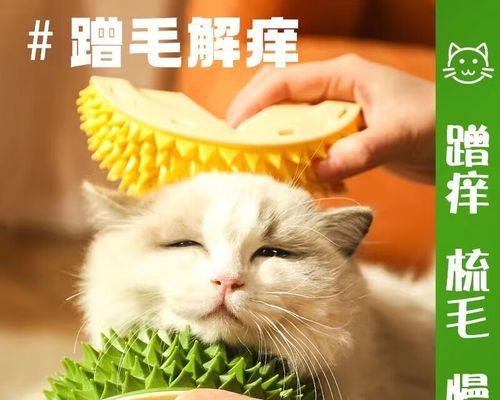 如何让宠物猫咪舒服地抓痒（掌握正确的抓痒技巧）