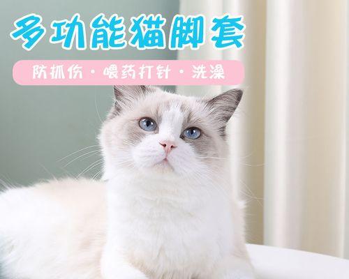 猫咪大爪子奇观（探秘猫咪爪子的神奇特性）