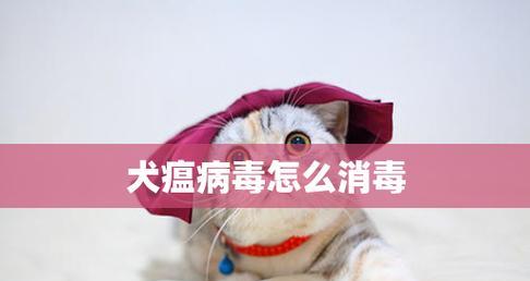 犬瘟——宠物世界的隐形杀手（了解犬瘟）