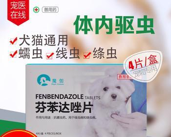 犬窝咳的预防和治疗方法（以宠物为主）