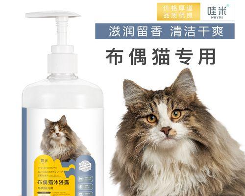 如何给小猫洗澡，让它们健康幸福成长（掌握正确的洗澡技巧）