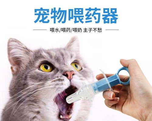 小猫吃药的正确方式（宠物爱护必知——喂药技巧）