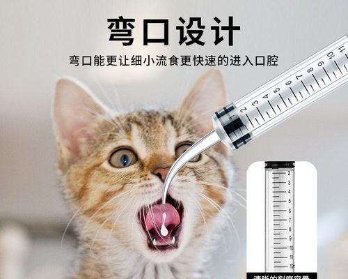 小猫吃药的正确方式（宠物爱护必知——喂药技巧）