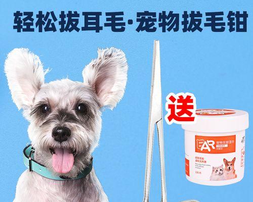 了解以剪耳朵著名的犬种（如何正确地对待宠物的外貌需求）