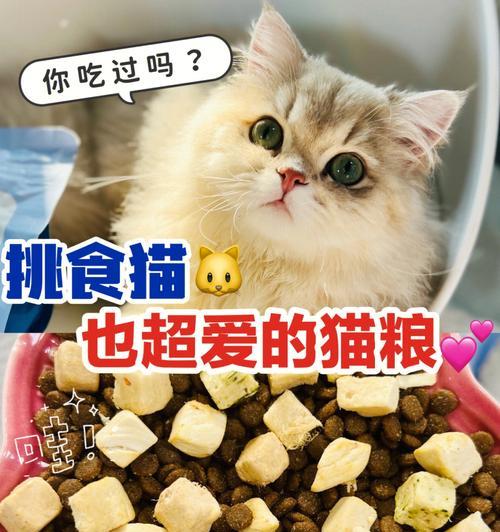 如何选择适合挑嘴猫的猫粮（从宠物健康和口味出发）