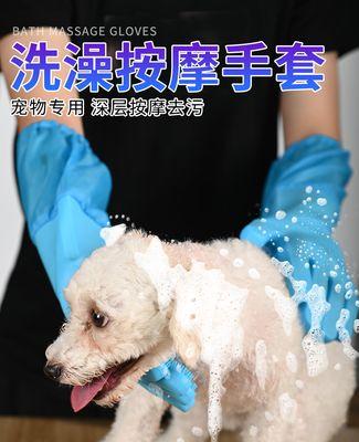 为什么猫咪咬人（探究猫咪咬人的原因及预防措施）