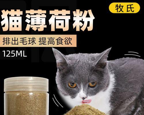 小猫吃多少猫草才健康（小猫吃多少猫草才健康）