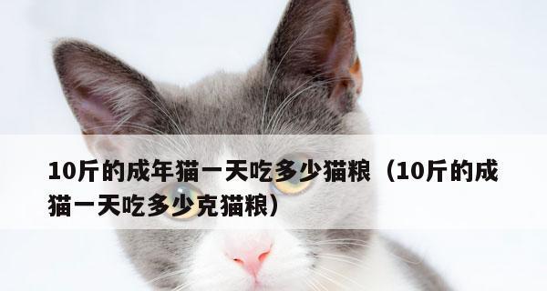 宠物小猫吃猫粮病了，你该知道的常见症状和防范方法（以小猫吃猫粮病了为例）