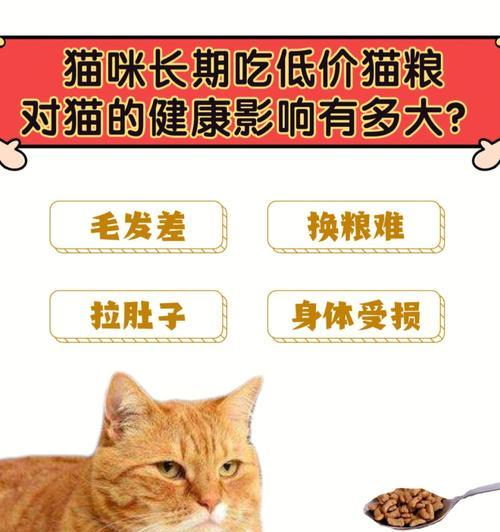 小猫适合吃猫粮的年龄（了解猫咪的成长需要）