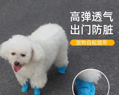 爪子大的狗（探索这些庞大犬种的魅力和挑战）