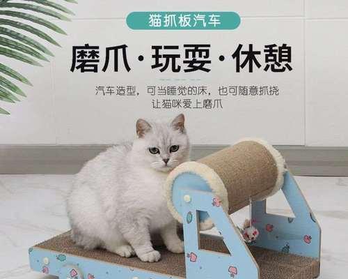 如何带宠物出行（以坐什么车可以带猫）