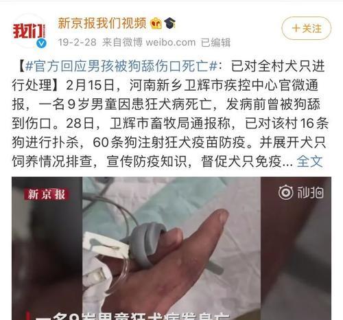 为爱宠接种狂犬疫苗，守护幸福生活（这些事情你需要知道）