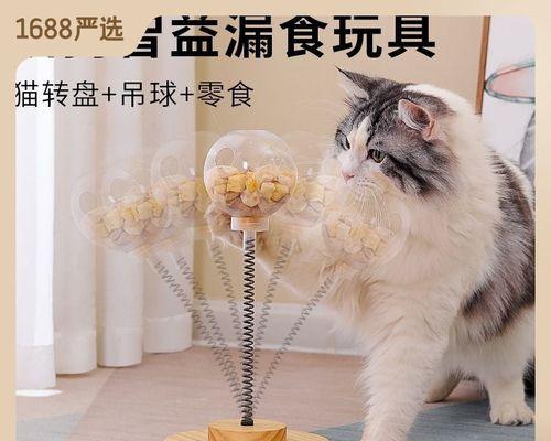 宠物之间的亲疏关系（大猫咬小猫事件揭示宠物间的博弈心理）