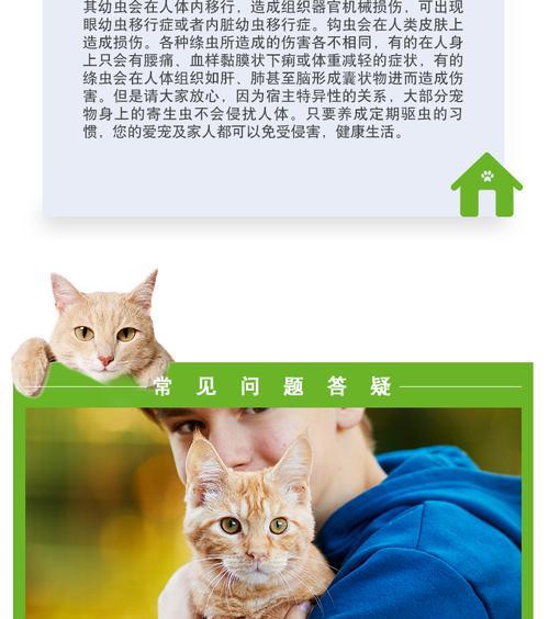 猫咪的健康是最重要的（以拜耳正常反为例）