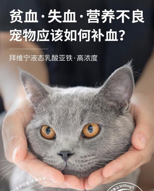 猫咪的健康是最重要的（以拜耳正常反为例）