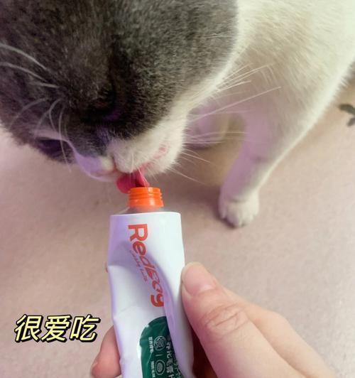 猫咪爱上化毛膏（揭秘猫咪为何爱吃化毛膏的原因及食用该类产品需注意的问题）