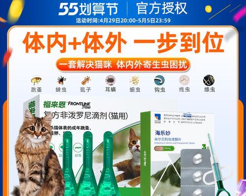 拥有快乐宠物生活的秘诀——以猫咪福来恩为例（以宠物为主）