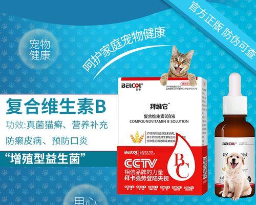 猫咪健康攻略（复合维生素B——让猫咪健康快乐的秘诀）