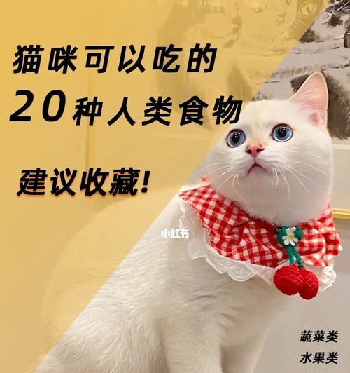 南瓜——猫咪的健康食品（南瓜营养丰富）