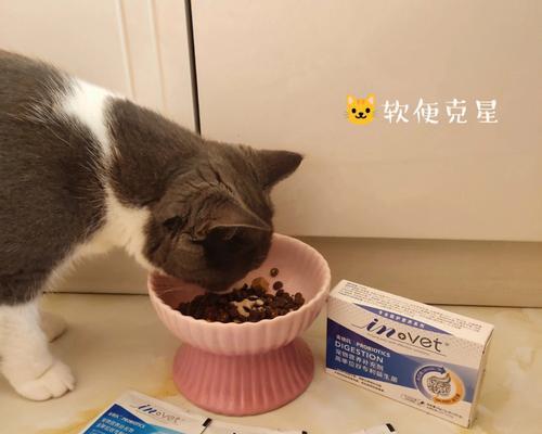 猫咪拉肚子流眼泪，如何保护宠物的健康（如何预防猫咪拉肚子和流眼泪）