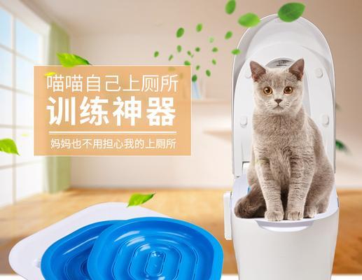 猫咪频繁如厕副作用大（探讨猫咪频繁如厕的原因及其对宠物和主人的影响）