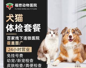 猫咪三联注射间隔时间大揭秘（从宠物健康角度出发）