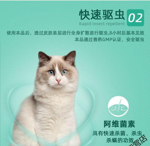 解密猫咪驱虫秘籍（揭开猫咪体内驱虫的神秘面纱）