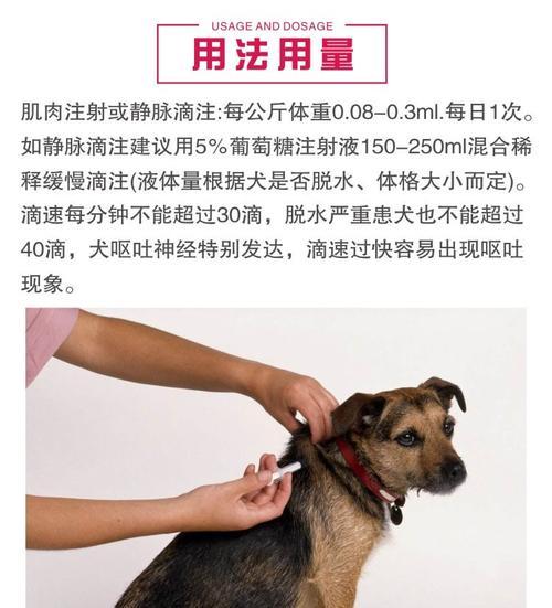 以犬瘟的狗狗不让碰，如何保护自己和宠物（避免接触）