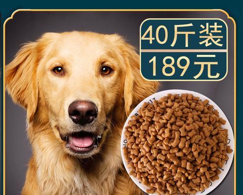 如何选择适合泰迪犬的狗粮（宠物健康从饮食开始）