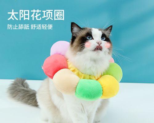 小猫套伊丽莎白圈，如何照顾宠物伤口（关于小猫穿戴伊丽莎白圈的注意事项及护理方法）